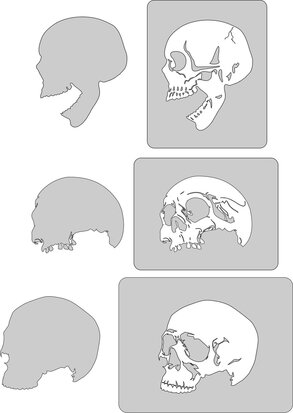 WoW Skull Mini Set